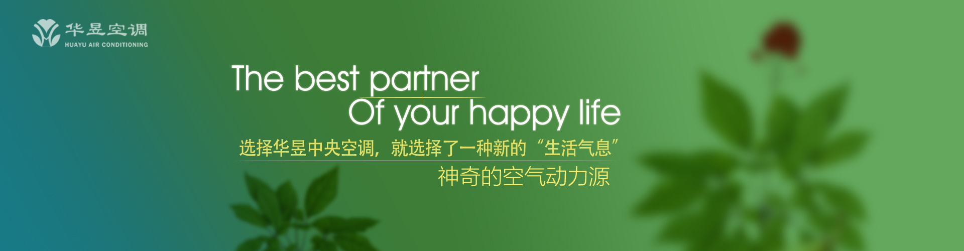 张三李四网